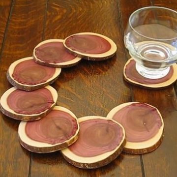 Drink Coasters