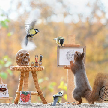 red squirrel and tit with a painting of a skull