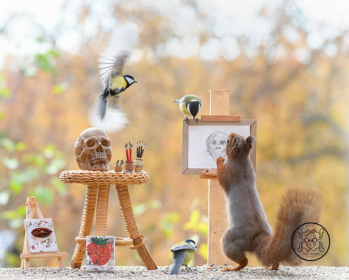 red squirrel and tit with a painting of a skull