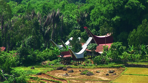 Indonesia - Sulawesi - Tanah Toraja - 204