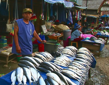 Indonesia - Sulawesi - Market - Fish - 336