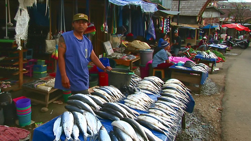 Indonesia - Sulawesi - Market - Fish - 336