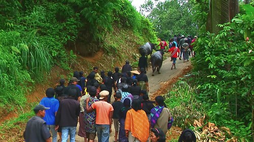 Indonesia - Sulawesi - Tana Toraja - Funeral Ceremony - 401