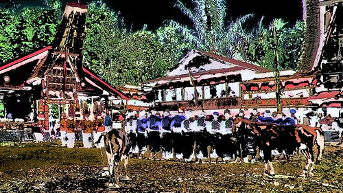 Indonesia - Sulawesi - Tana Toraja - Bori - Funeral Ceremony - Day 4 - 743ee