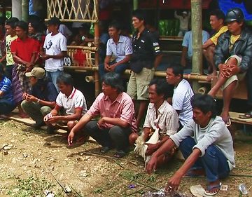 Indonesia - Sulawesi - Tana Toraja - Bori - Funeral Ceremony - Day 4 - Cock Fighting - 901