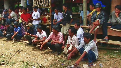 Indonesia - Sulawesi - Tana Toraja - Bori - Funeral Ceremony - Day 4 - Cock Fighting - 901