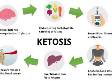 How-the-Keto-Diet-Works