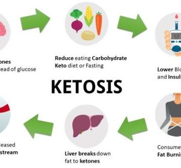 How-the-Keto-Diet-Works-520x347