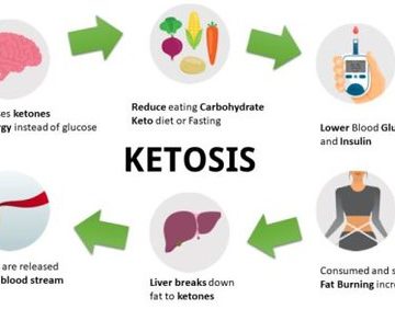 How-the-Keto-Diet-Works-520x293