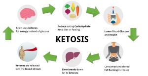 How-the-Keto-Diet-Works-300x155