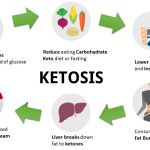 How-the-Keto-Diet-Works-150x150