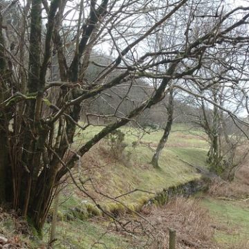 Plynlimon (Pumlumon) & Hafan Tramway Embankment, south of Tŷnant