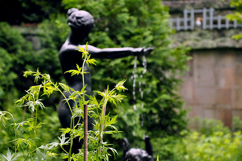 Garden Fountain