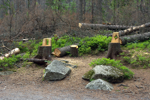 Wooden chair :)