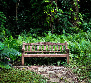 The Wooden Chair