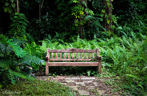 The Wooden Chair